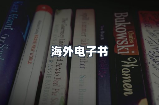 海外电子书